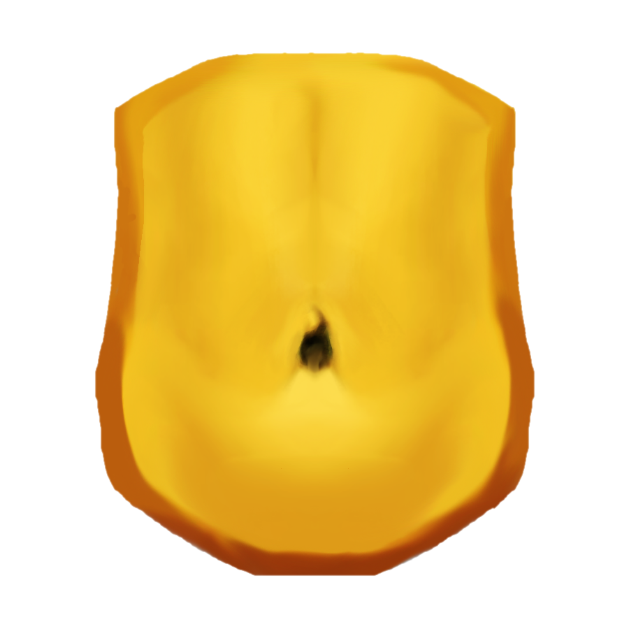 Proposed abdomen emoji: An anterior view of a gender-neutral human abdomen with umbilicus, flanks, waist, and hips, colored with unrealistic yellow skin tone.