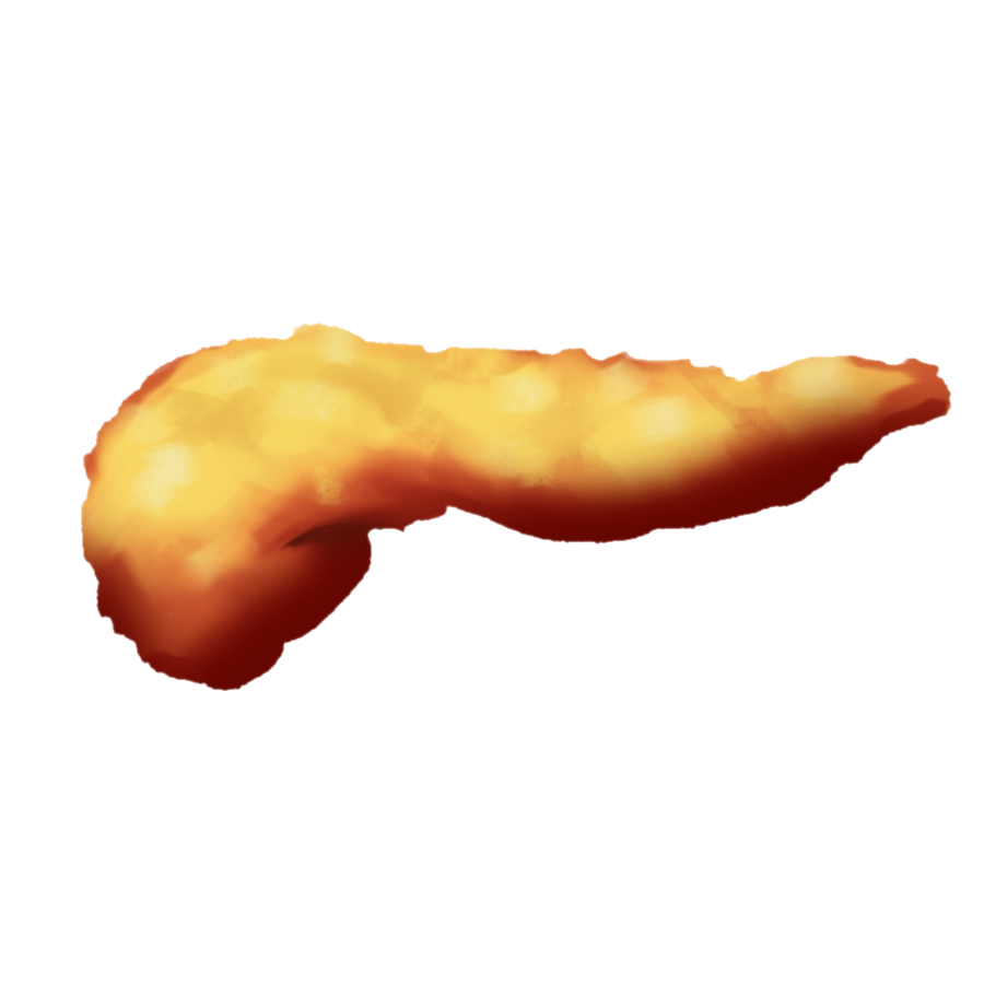 Proposed pancreas emoji: An anterior view of the human pancreas, colored yellow-pink.