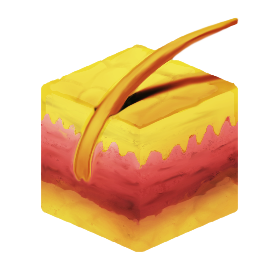 Proposed skin emoji: A cross-sectional view of idealized human skin, showing epidermis, dermis, subcutaneous fat, hair, and hair follicle, with unrealistic yellow skin tone.